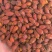 栀子无硫栀子栀子花草茶药用栀子批发零售规格齐全