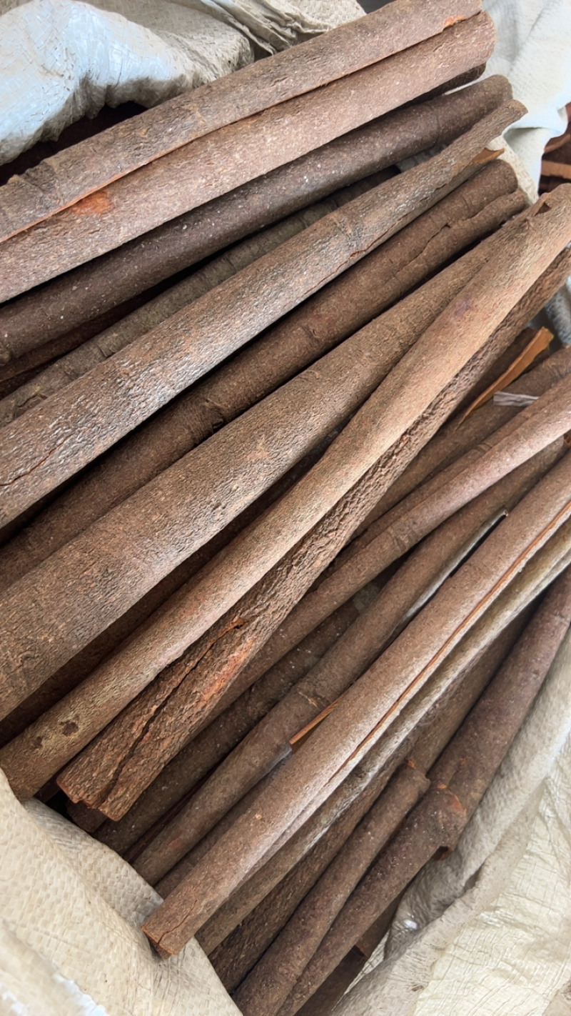 新桂皮广西桂皮产地桂皮大料干货香辛料调料炖煮卤菜香料