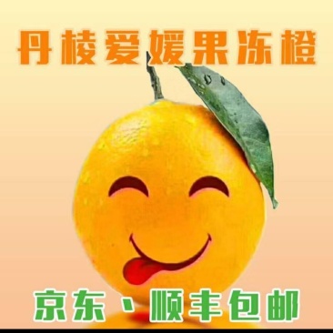 爱媛38号果冻橙，原产地一件代发，品质货源诚邀代理商合作