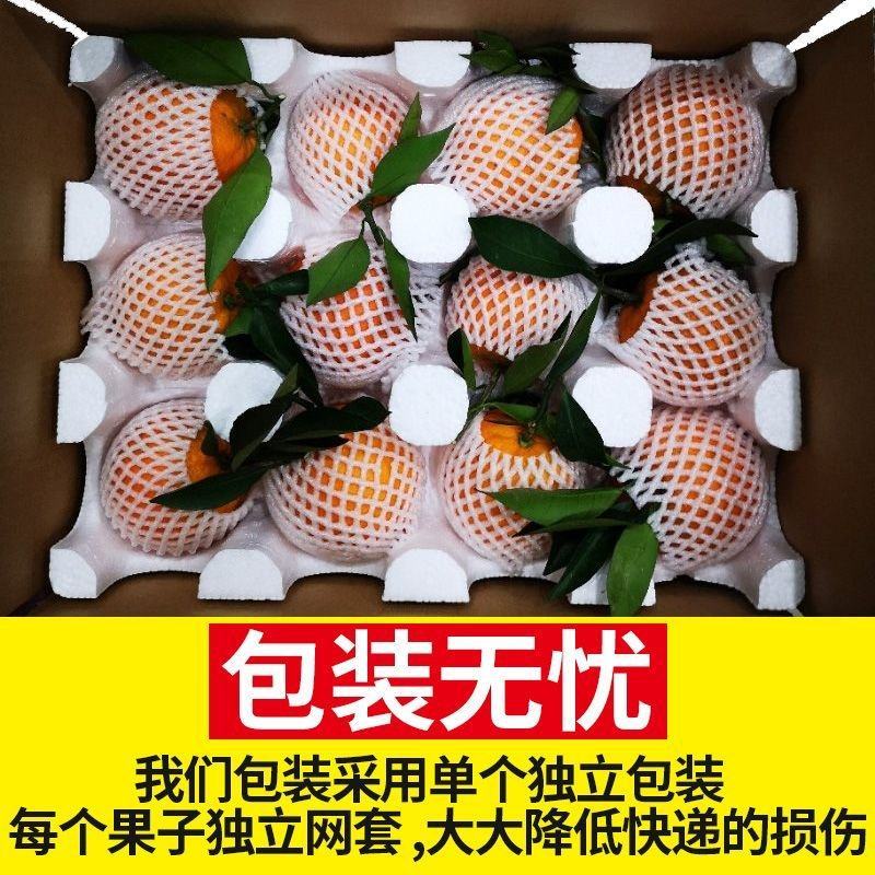 爱媛38号果冻橙，原产地一件代发，品质货源诚邀代理商合作