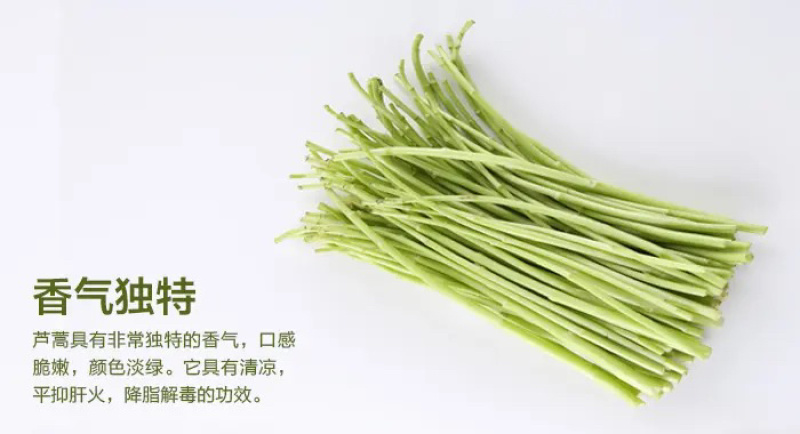 小叶芦蒿苏北千亩芦蒿基地上市。