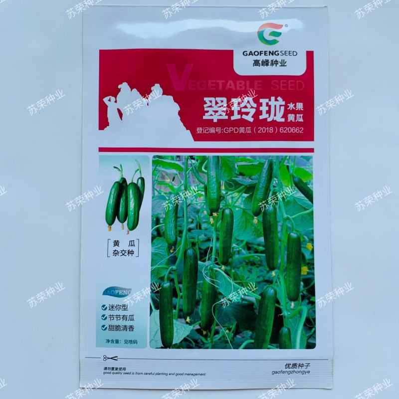 翠玲珑水果黄瓜种子强雌无刺小黄瓜抗病高产甜脆荷兰小黄瓜种