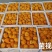 金耳，全国结单，大量供应