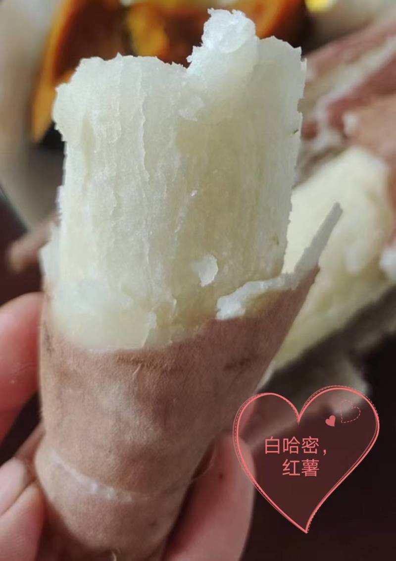 红薯种，成品，店商用的品种繁多，需要的联系