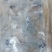 免浆鲈鱼片（500克/包、20包/件、10KG/件）