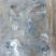 免浆鲈鱼片（500克/包、20包/件、10KG/件）