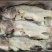 加州鲈鱼骨（10KG/件、10件起发）
