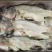 加州鲈鱼骨（10KG/件、10件起发）