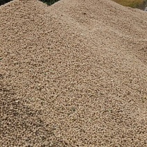 黄豆5-6万斤