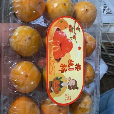 陕西火葫芦柿子