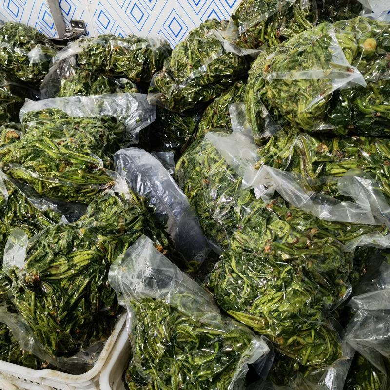 郧西香椿、腌制香椿、保鲜香椿芽