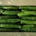 91大量上市