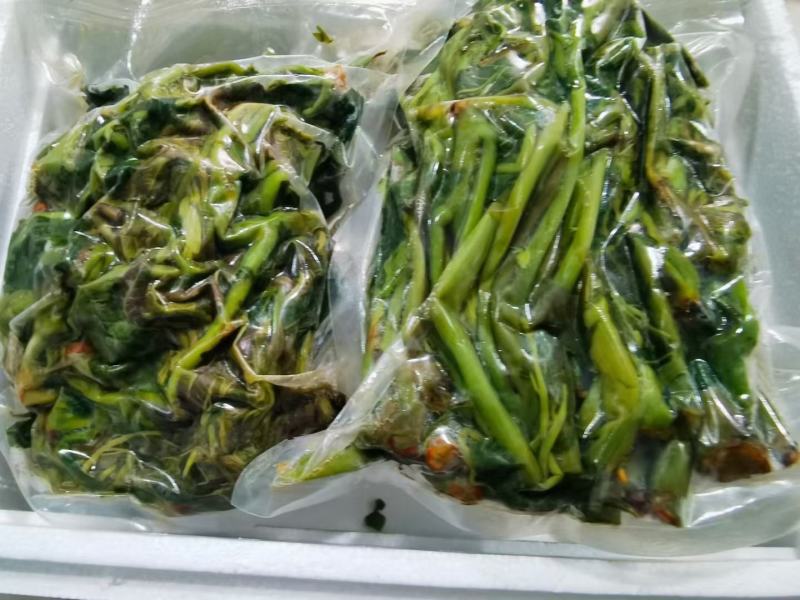 郧西香椿、腌制香椿、保鲜香椿芽