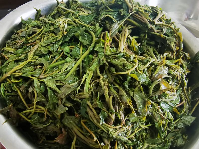 郧西香椿、腌制香椿、保鲜香椿芽