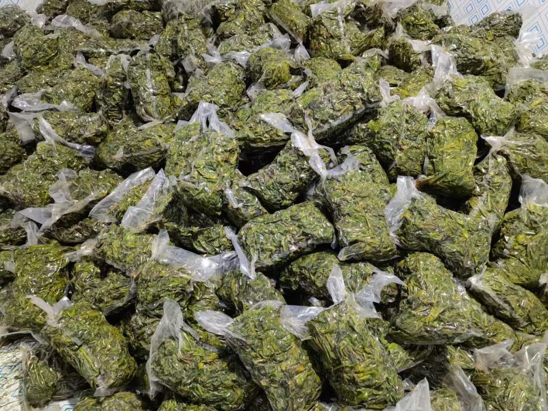 郧西香椿、腌制香椿、保鲜香椿芽