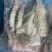 鳄鱼掌海南直发保证新鲜量大价格更优