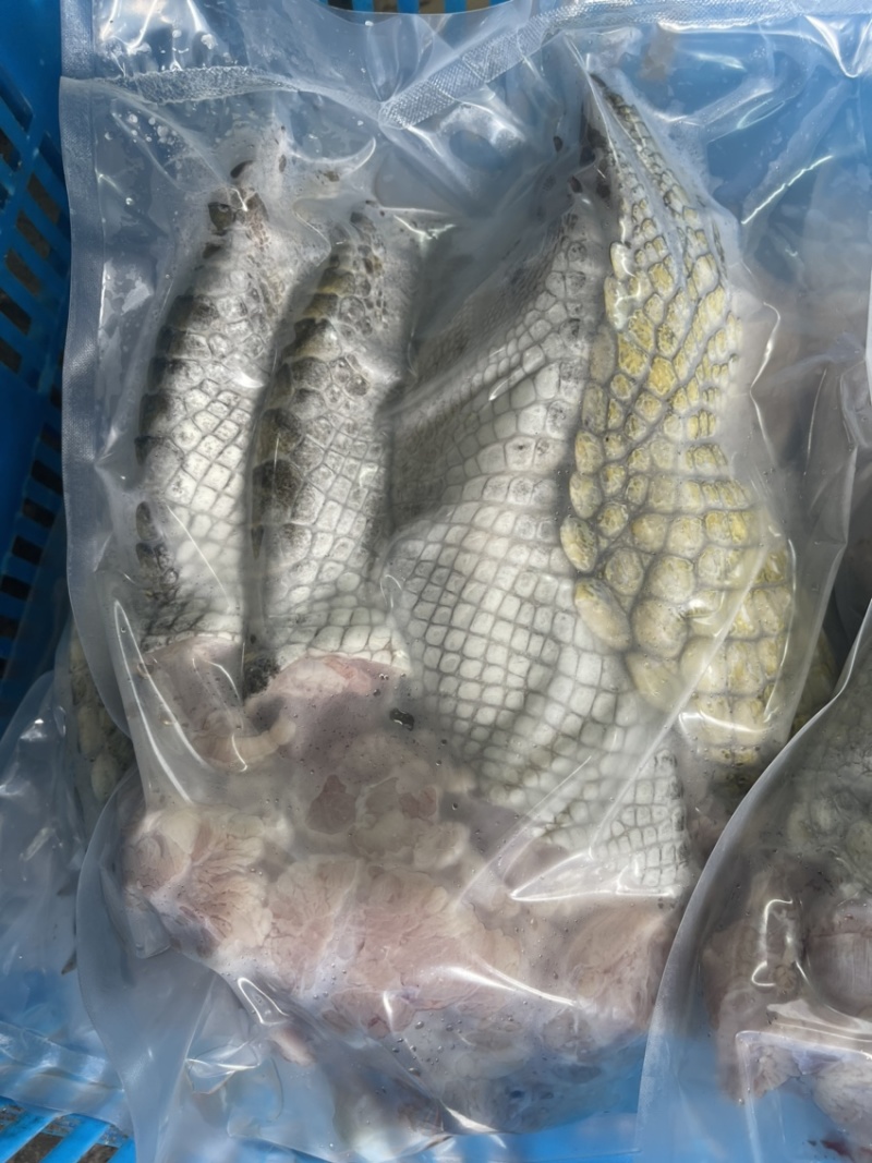 鳄鱼掌海南直发保证新鲜量大价格更优