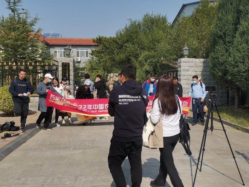 原产地纯桑枝桑黄，桑黄成品干货质量保证量大从优欢迎来电