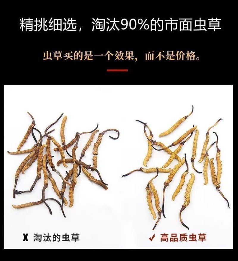 2O22正宗野生冬虫草夏草虫草王滋补甘孜非那曲精选虫草