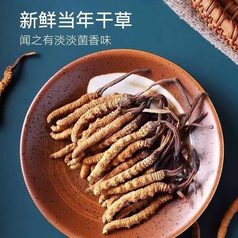 2O22正宗野生冬虫草夏草虫草王滋补甘孜非那曲精选虫草