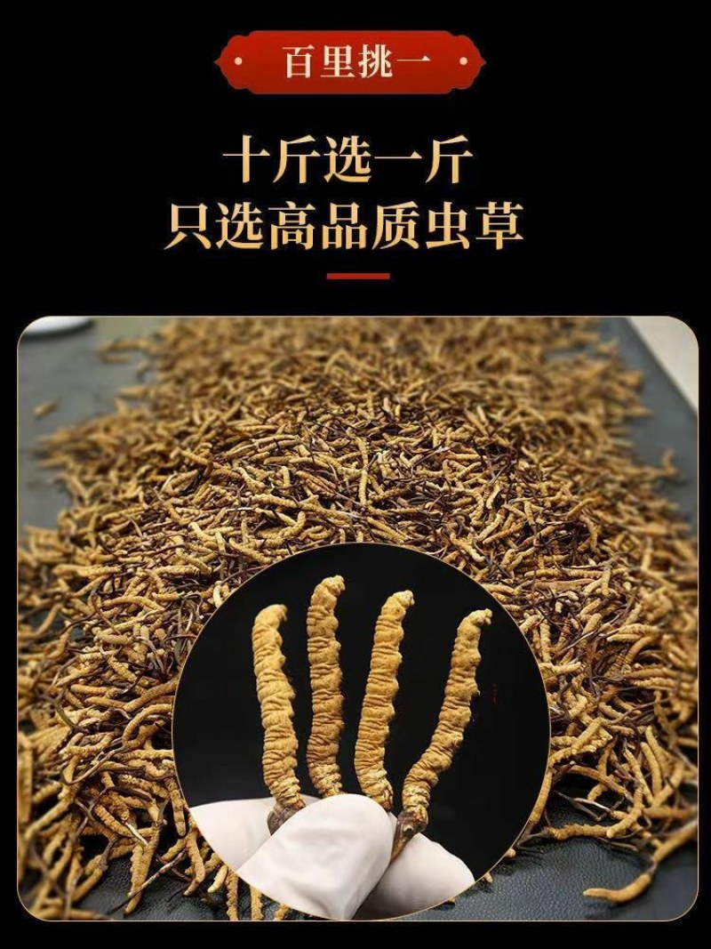 2O22正宗野生冬虫草夏草虫草王滋补甘孜非那曲精选虫草