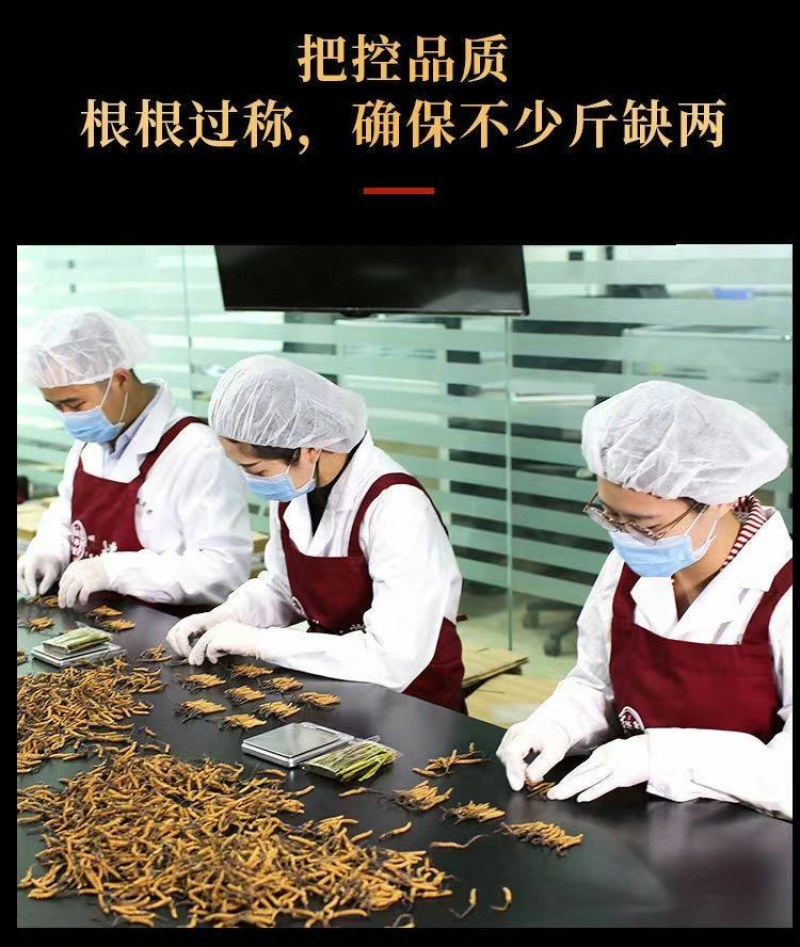 2O22正宗野生冬虫草夏草虫草王滋补甘孜非那曲精选虫草