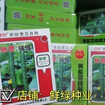 驰誉强悍杂交一代优良强雌黄瓜种子春夏秋露地秋大棚种植