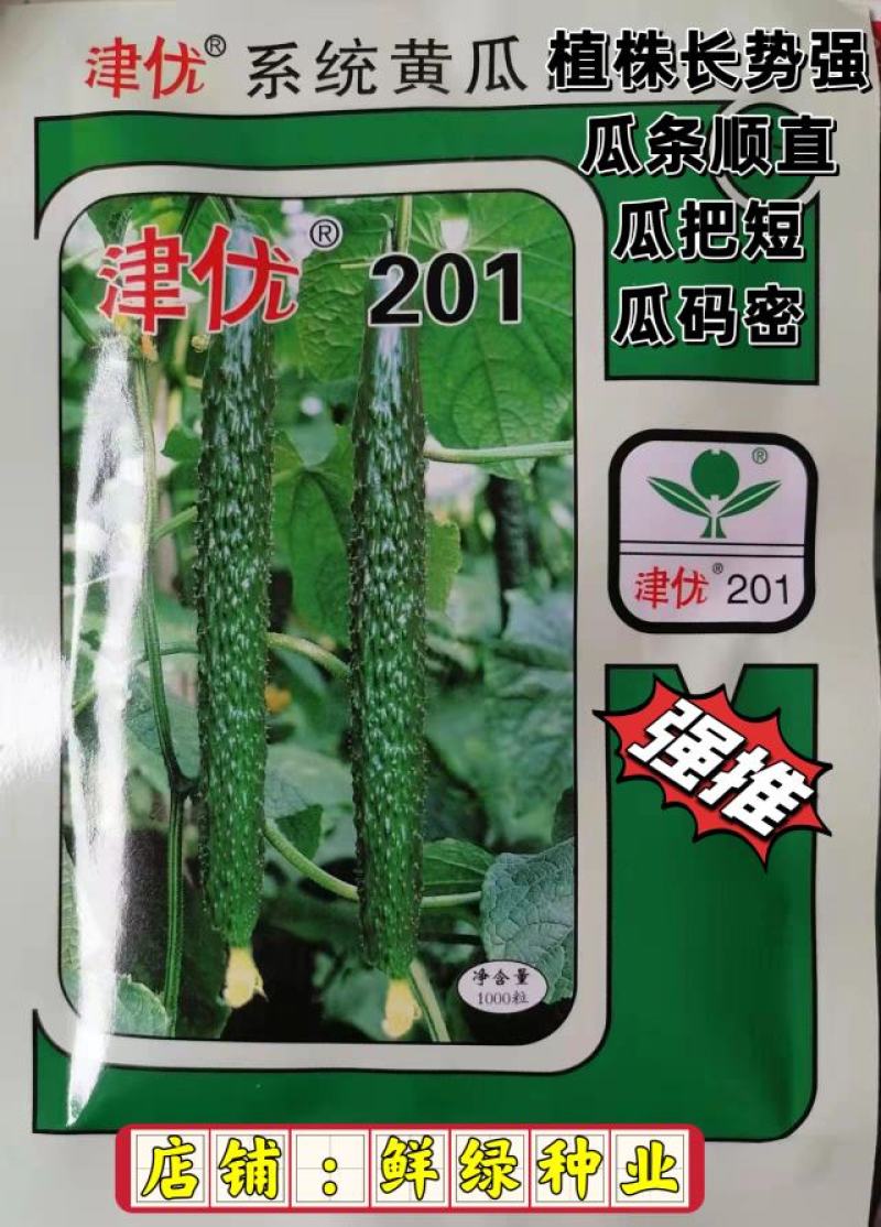 驰誉强悍杂交一代优良强雌黄瓜种子春夏秋露地秋大棚种植