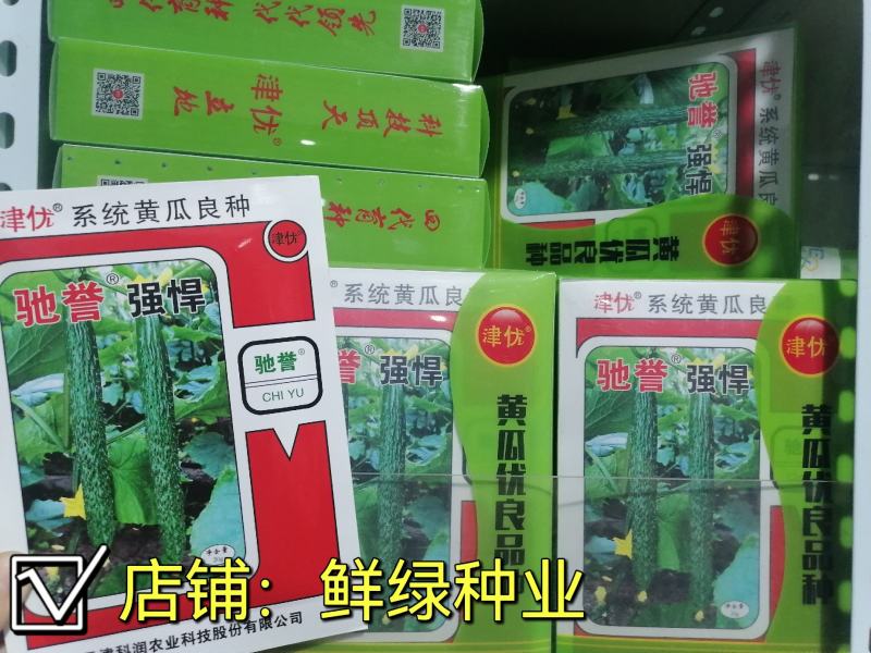 驰誉强悍杂交一代优良强雌黄瓜种子春夏秋露地秋大棚种植