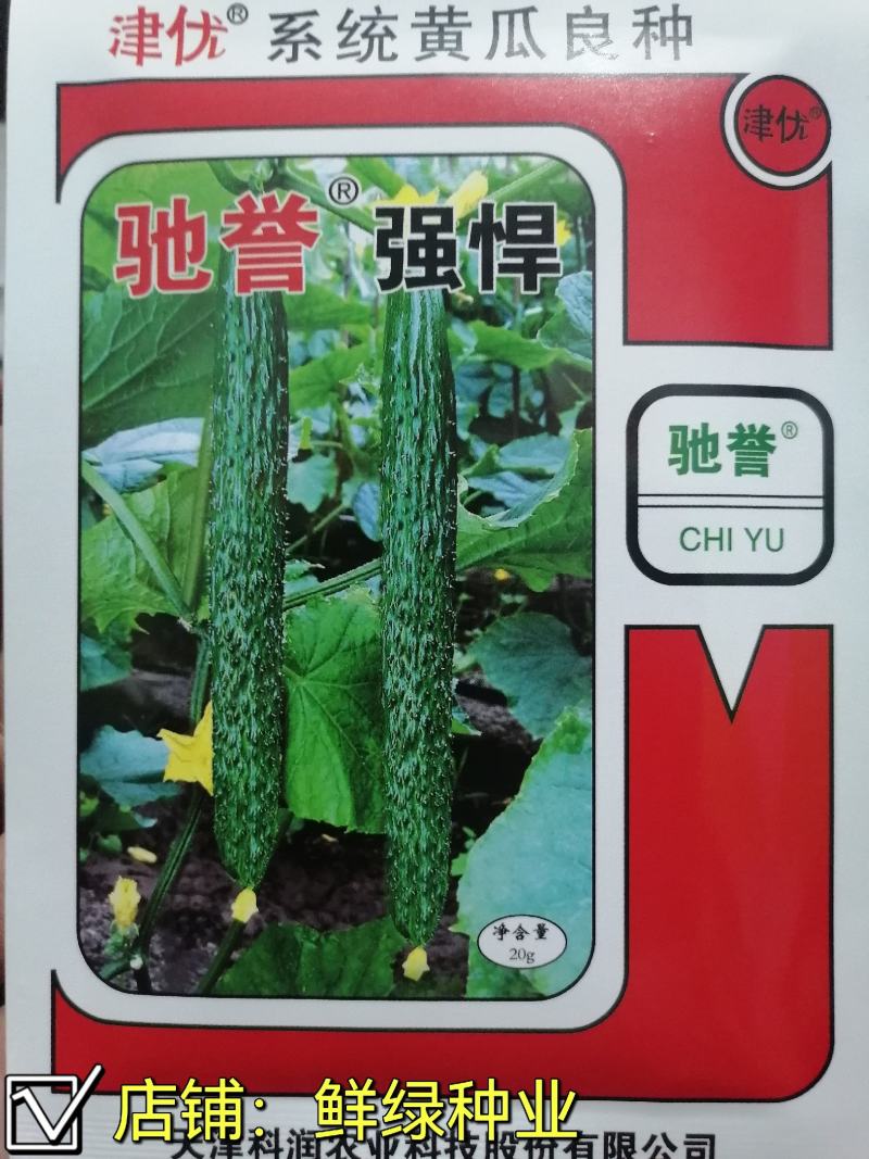 驰誉强悍杂交一代优良强雌黄瓜种子春夏秋露地秋大棚种植