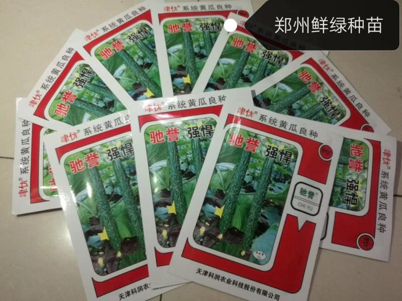 驰誉强悍杂交一代优良强雌黄瓜种子春夏秋露地秋大棚种植