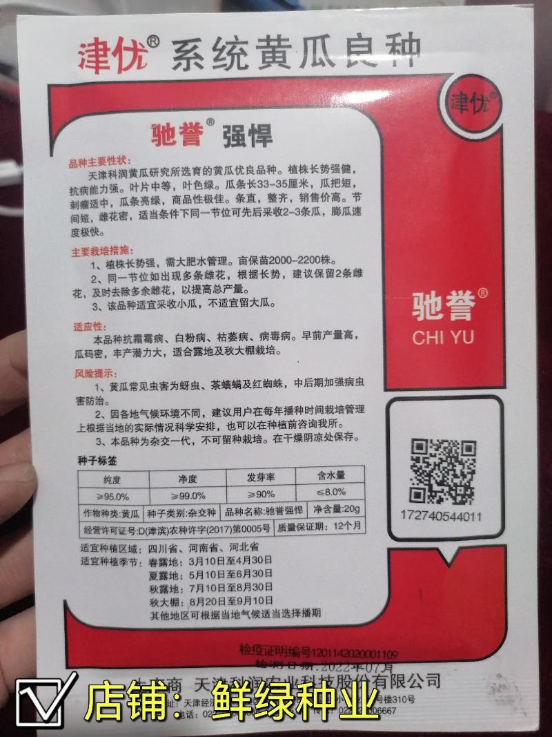 驰誉强悍杂交一代优良强雌黄瓜种子春夏秋露地秋大棚种植