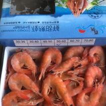 鲜甜熟白虾对虾冻虾批发价量大价优