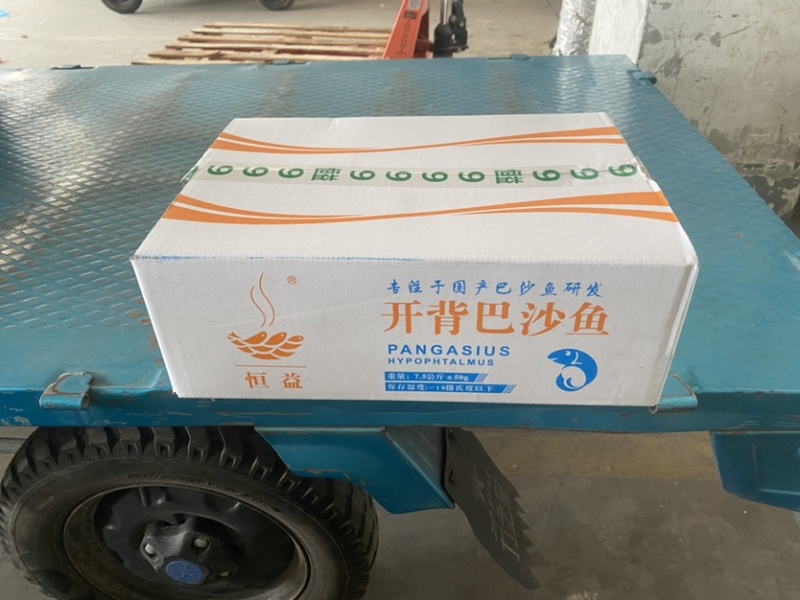 渔恒美开背鱼开背巴沙鱼巴沙鱼柳国产开背鱼15斤
