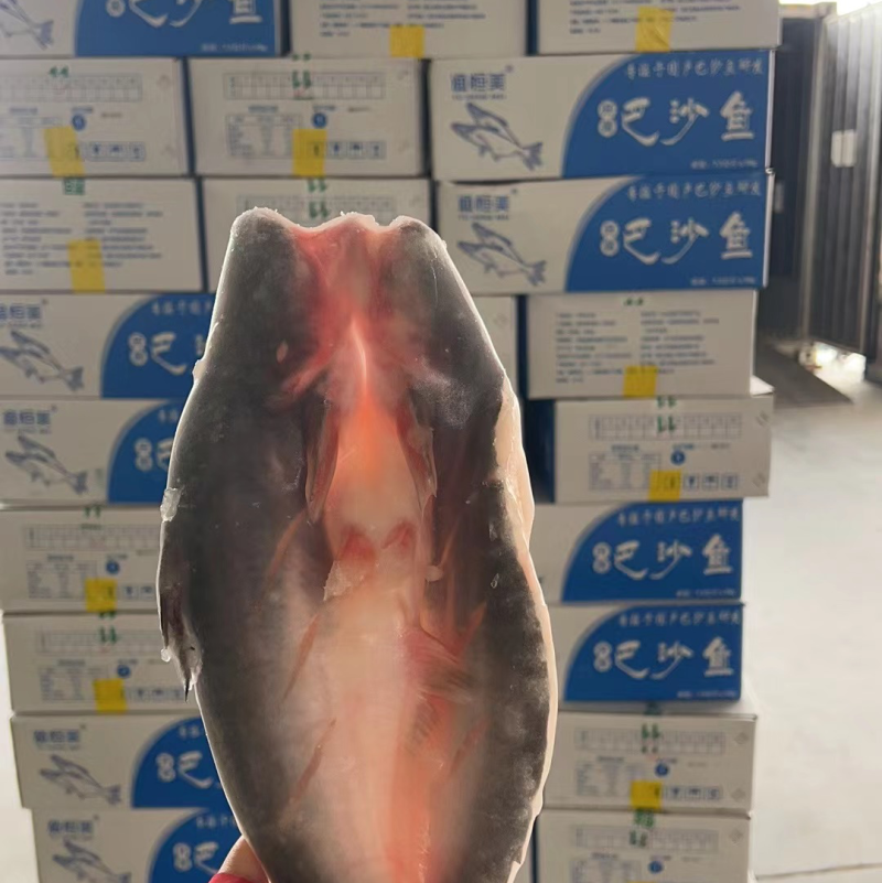 渔恒美开背鱼开背巴沙鱼巴沙鱼柳国产开背鱼15斤
