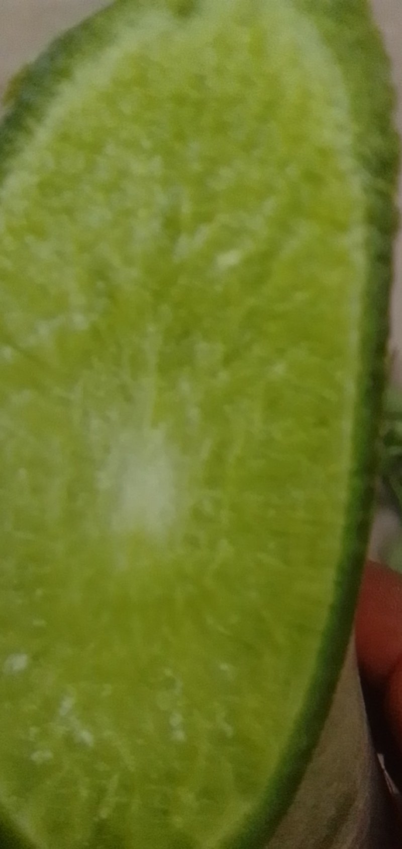 莱西青萝卜供应中