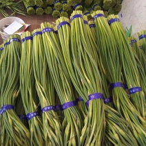 邯郸精品蒜薹精品蒜台/保质保量/全国代发/欢迎选购