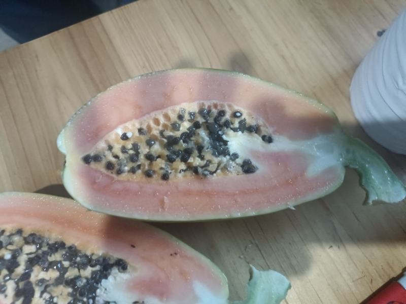 精品木瓜