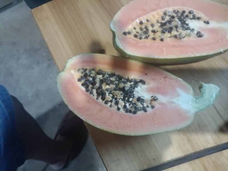 精品木瓜