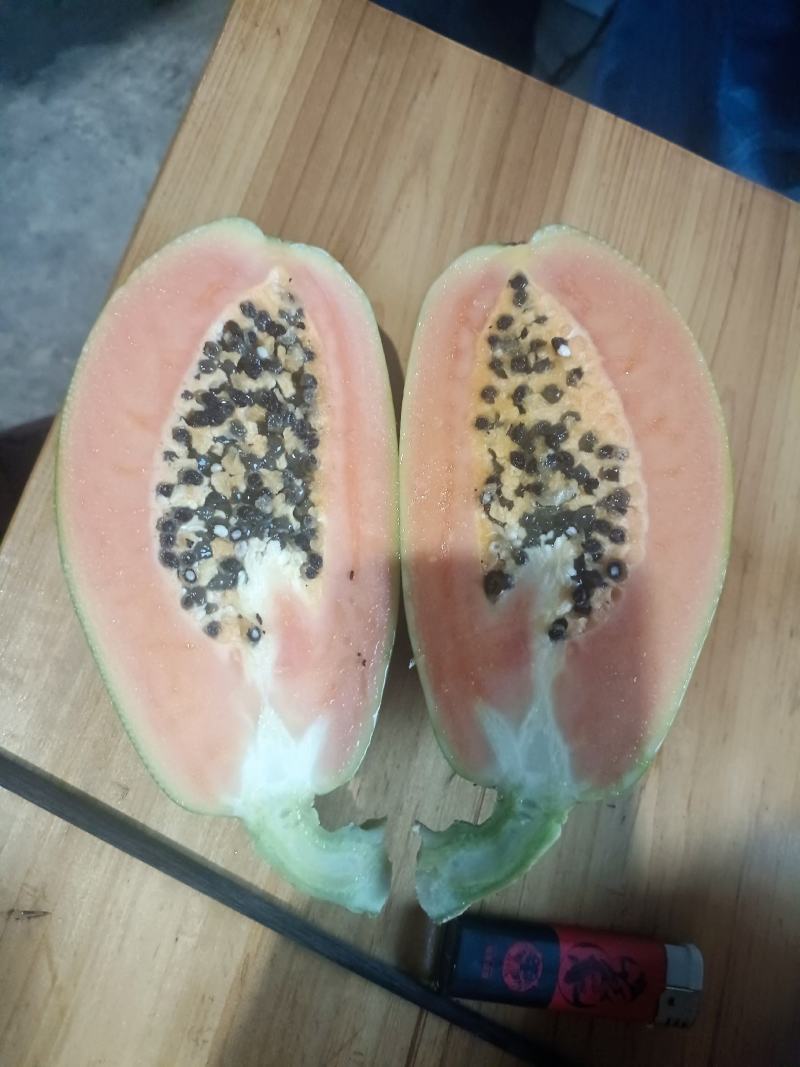 精品木瓜