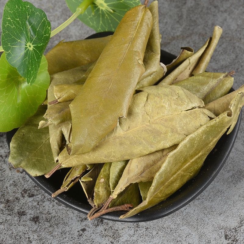 新货大别山野生中药材胡秃子叶蒲颓叶胡颓子叶羊奶果树叶