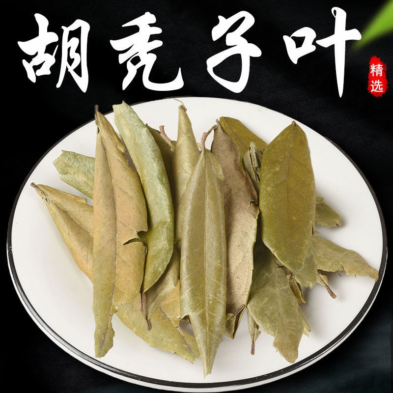 新货大别山野生中药材胡秃子叶蒲颓叶胡颓子叶羊奶果树叶