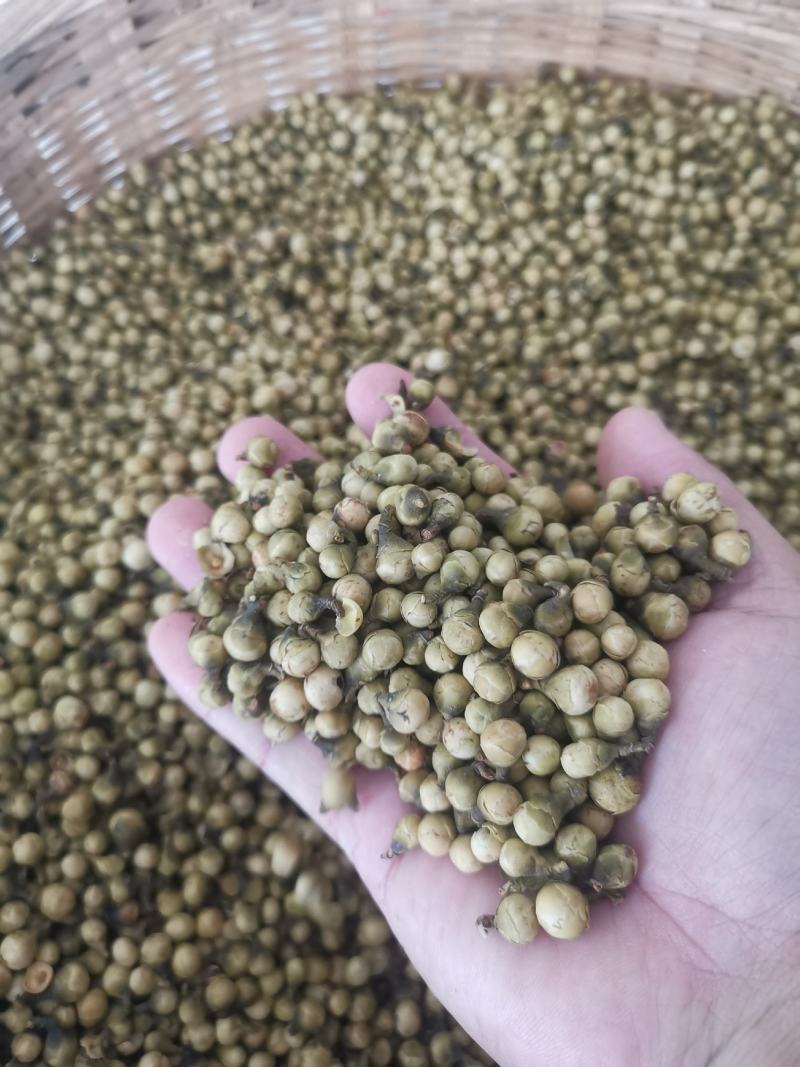 金花茶花蕾，0添加。