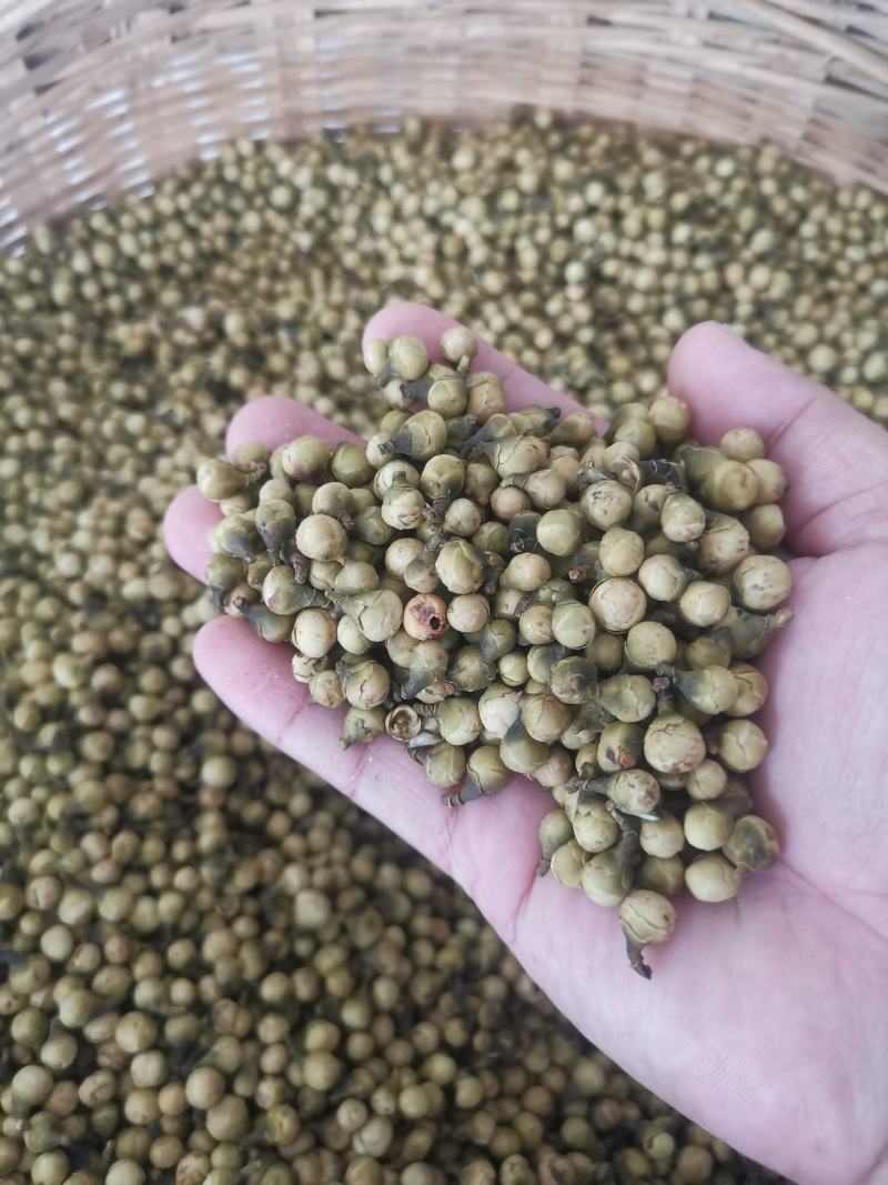 金花茶花蕾，0添加。