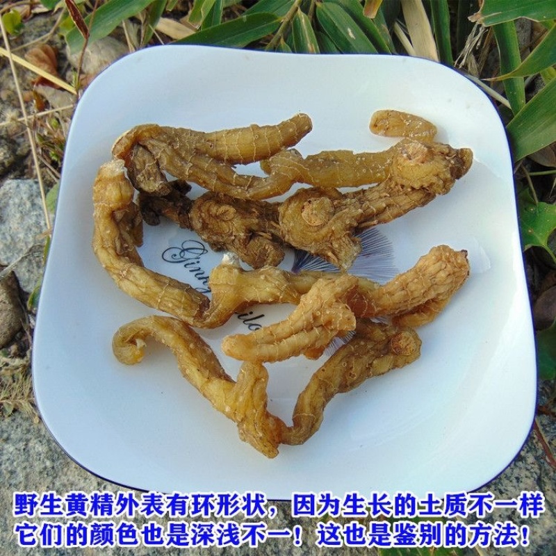 大别山中药材野生干黄精一蒸一晒干黄精