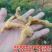 大别山中药材野生干黄精一蒸一晒干黄精