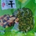 吐鲁番葡萄干，新疆原产地，口感很好，香甜适口，欢迎选购