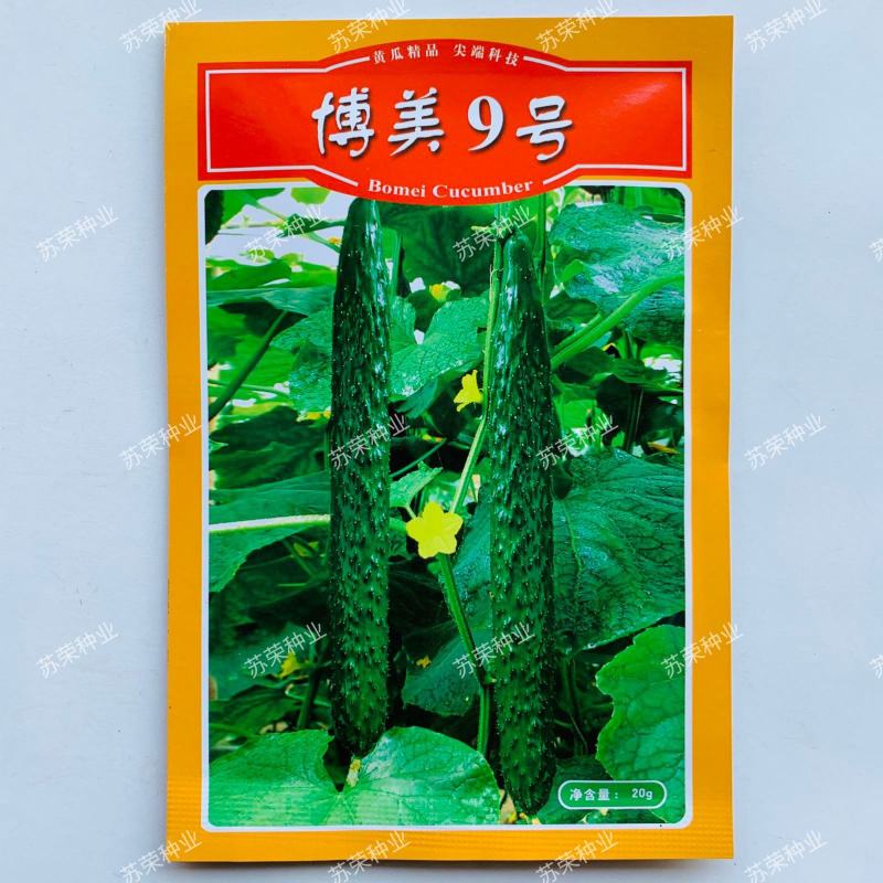 博美9号黄瓜种子油绿果肉厚果肉淡绿色春秋夏季露天种植抗病