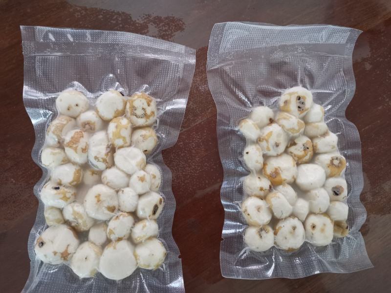 珍珠马蹄产地大量批发珍珠马蹄鲜货