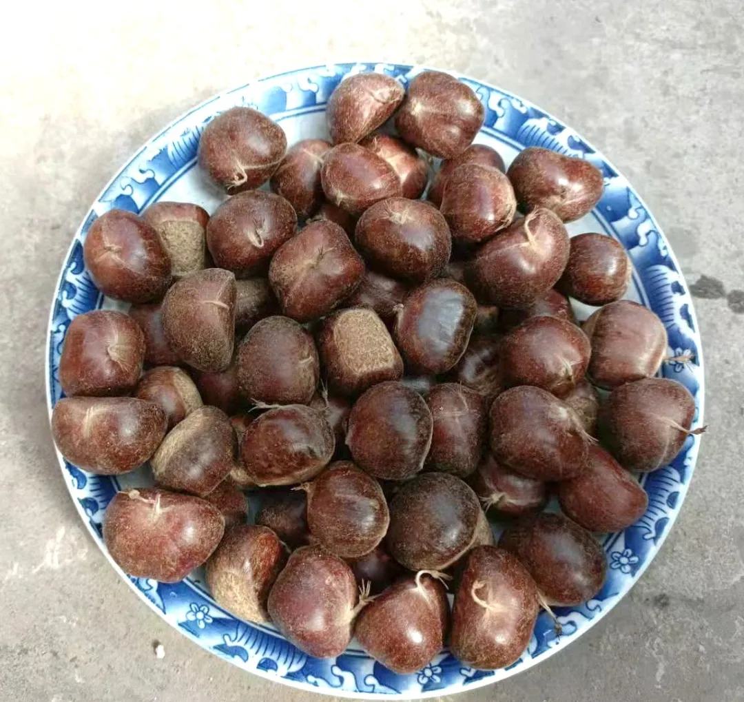 蒸煮栗子与红枣搭配的养生食谱